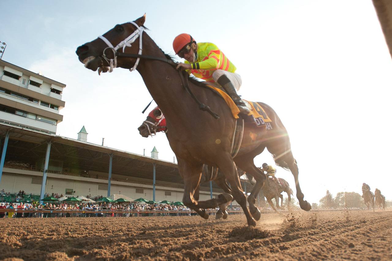 2021 Prince of Wales Stakes winner Haddassah