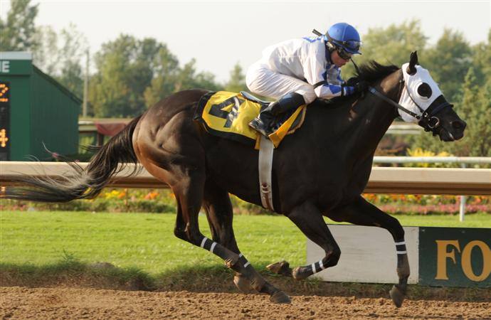 Tom Joy and rider Sheena Ryan, Michael Burns Photo. 