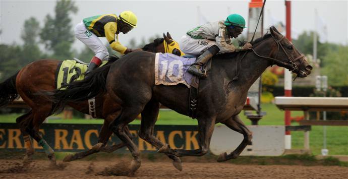 D'oro Diablo under Kirk Johnson. Photo courtesy Michael Burns Photography