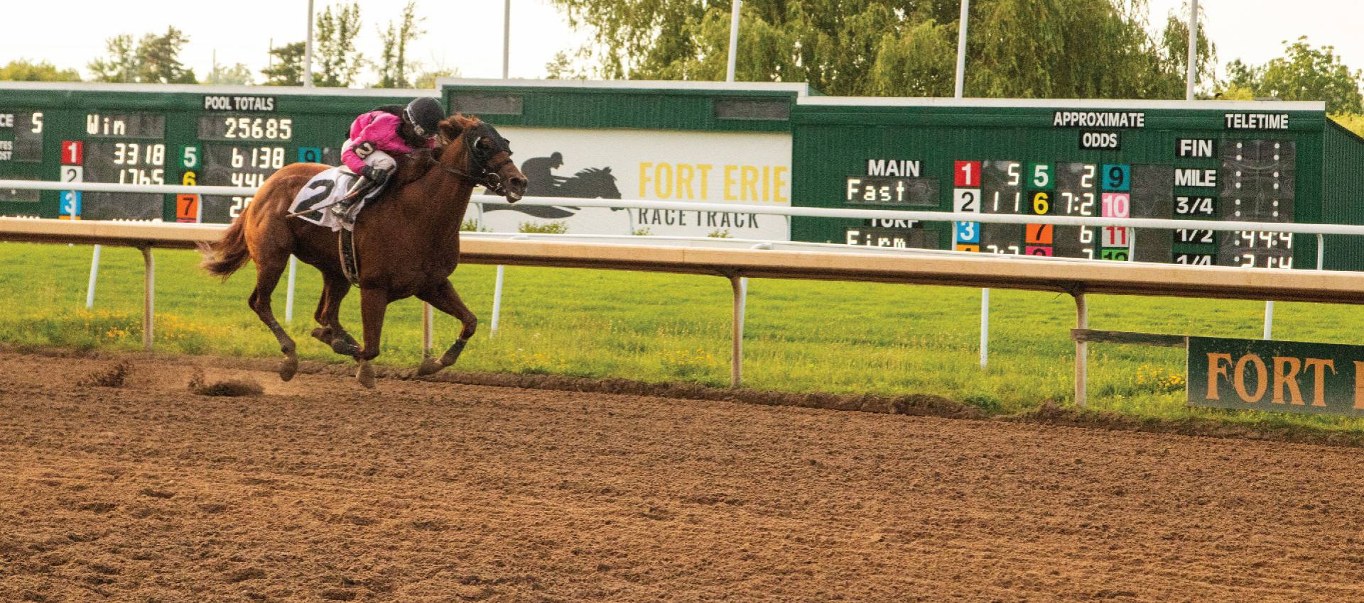 Handicapping Challenges Return