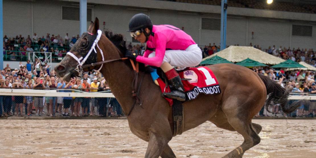 Wonder Gadot simply wonderful in Prince of Wales