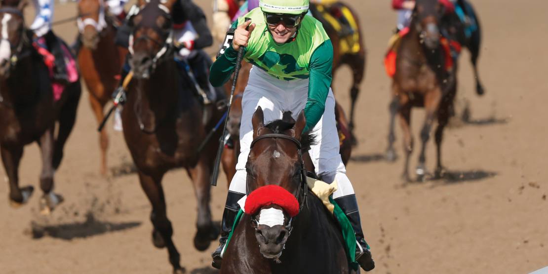 2019 Prince of Wales Stakes Draw